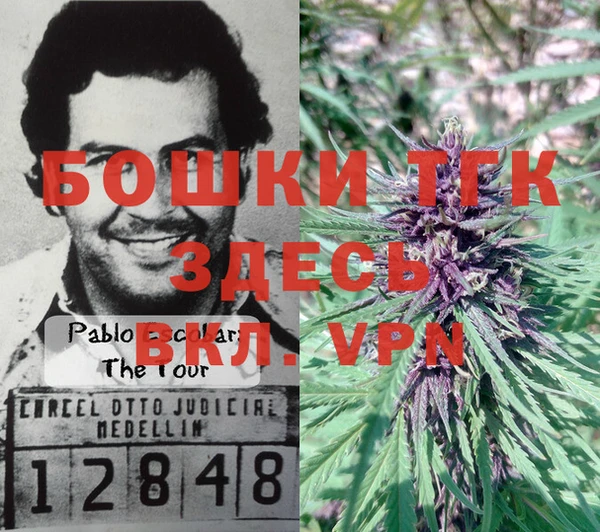 ALPHA PVP Заволжье